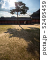 景福宮 松 影 52495459
