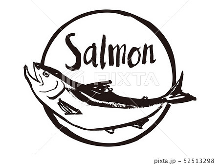 Salmon 鮭 水彩画のイラスト素材