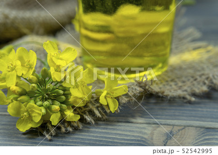 Yellow canola or rapeseed flowers with oil Yellow canola or rapeseed flowers with oil 52542995