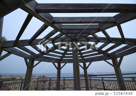 泉南さとうみ公園 52567430