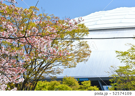 メットライフドーム（西武ドーム） 52574109