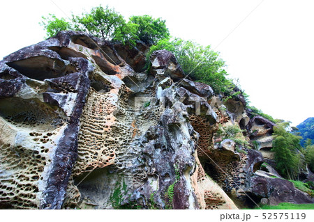高池の虫喰岩 高池の虫喰岩 52575119