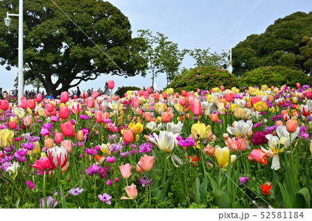 横浜・山下公園 横浜・山下公園 52581184