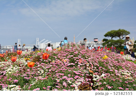 横浜・山下公園 52582555