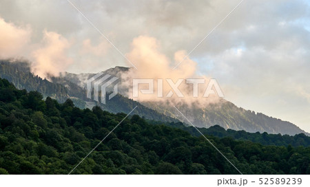 Green mountain slope with cable cars and ski runs 52589239