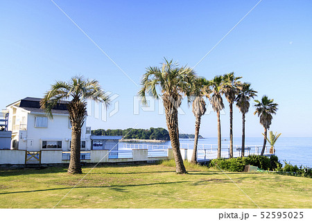 三戸浜海岸（初夏） 52595025