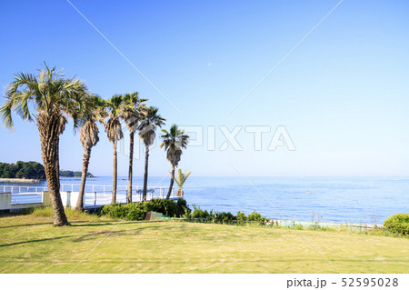 三戸浜海岸（初夏） 52595028