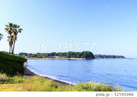 三戸浜海岸（初夏） 52595066