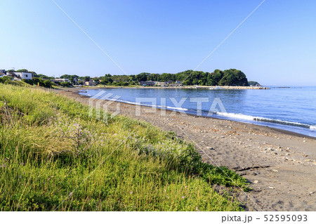 三戸浜海岸（初夏） 52595093