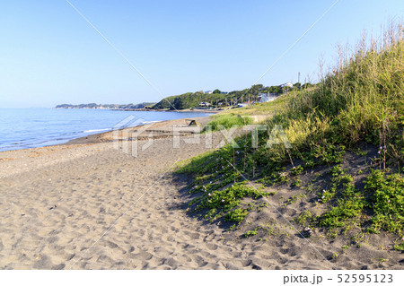 三戸浜海岸（初夏） 52595123