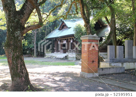 乃木神社境内 乃木神社境内 52595951