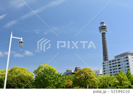 横浜・山下公園 52599210