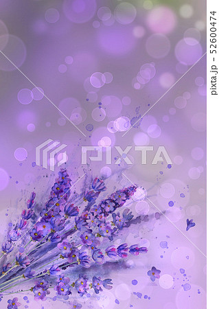 Watercolor lavender bouquet. Lavender flowers 52600474