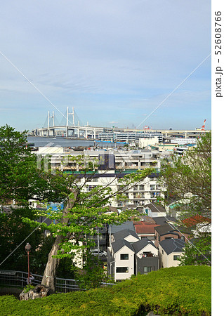 横浜・港の見える丘公園 52608766