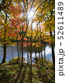 紅葉 52611489