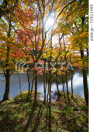 紅葉 52611489