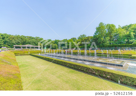 神代植物公園 春のバラ 52612156