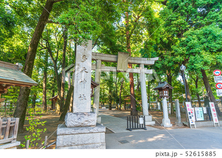 東京調布 布多天神社 52615885