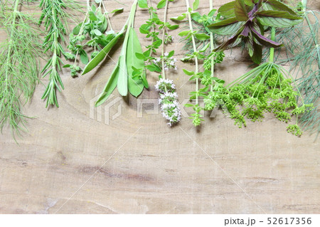 キッチンハーブ キッチンハーブ 52617356