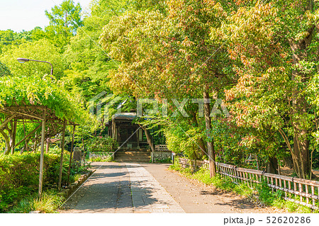 東京調布 深大寺 深沙大王堂 52620286