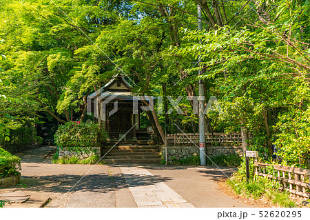 東京調布 深大寺 深沙大王堂 東京調布 深大寺 深沙大王堂 52620295