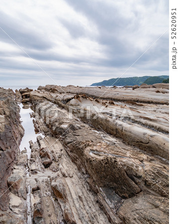 高知県 土佐清水市 竜串海岸 52620951