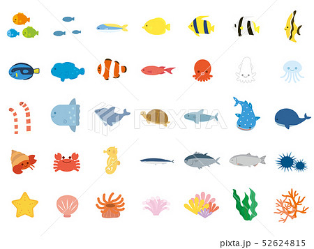 Illustration Set Of Cute Sea Creatures Stock Illustration