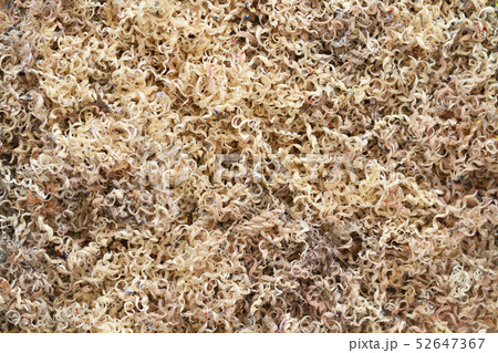 Abstract background by dust from pencil sharpener 52647367