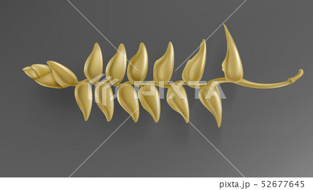 Tropical black and gold leaves on dark background Tropical black and gold leaves on dark background 52677645