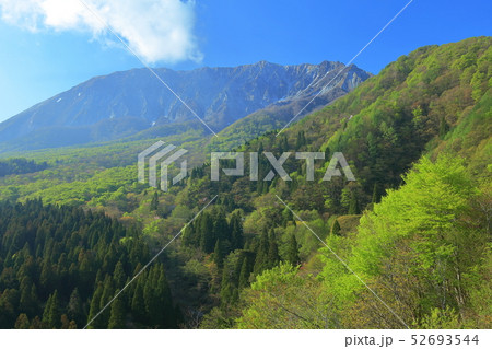 【鳥取県】鍵掛峠から見た大山の新緑 【鳥取県】鍵掛峠から見た大山の新緑 52693544