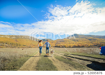Couple walk retriever dog autumn sunset countryside meadow holding hands 52695876