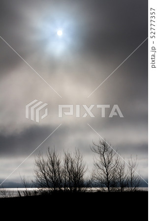 cloudy sky and tree profile 52777357