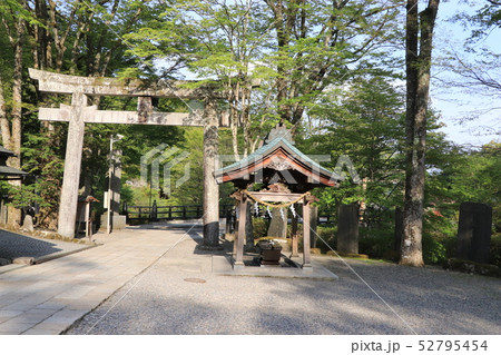 春の古峯神社 春の古峯神社 52795454