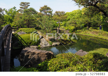 白鳥庭園点景 白鳥庭園点景 52798983