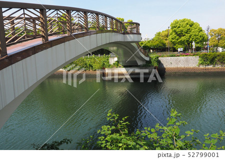 白鳥庭園点景 白鳥庭園点景 52799001