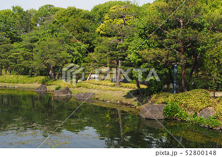 白鳥庭園点景 白鳥庭園点景 52800148