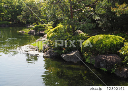 白鳥庭園点景 白鳥庭園点景 52800161