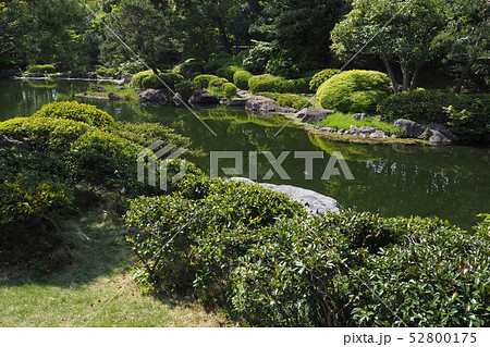 白鳥庭園点景 白鳥庭園点景 52800175