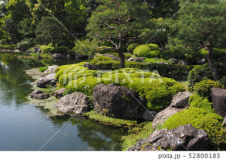 白鳥庭園点景 白鳥庭園点景 52800183