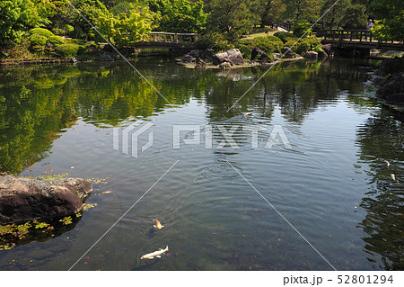 白鳥庭園点景 白鳥庭園点景 52801294