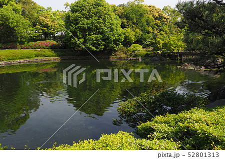 白鳥庭園点景 白鳥庭園点景 52801313