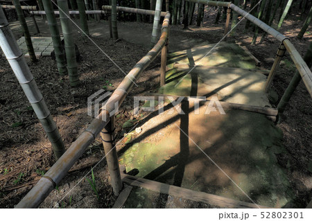 白鳥庭園点景 52802301