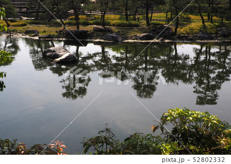 白鳥庭園点景 白鳥庭園点景 52802332