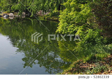 白鳥庭園点景 52802339