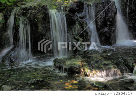白鳥庭園点景 52804517