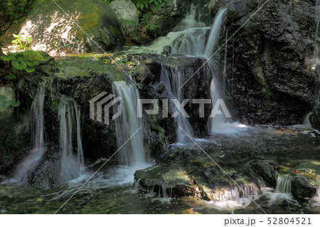 白鳥庭園点景 52804521