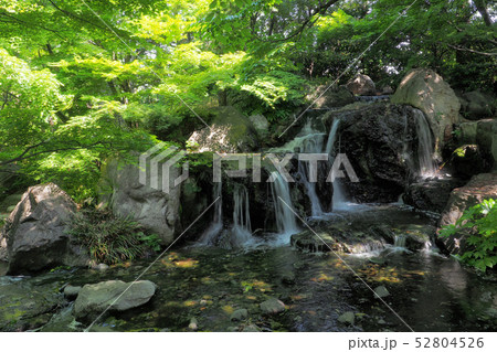 白鳥庭園点景 52804526