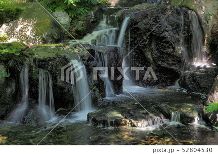 白鳥庭園点景 52804530