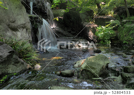 白鳥庭園点景 52804533