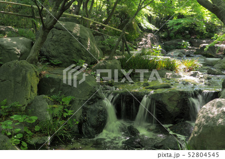 白鳥庭園点景 52804545